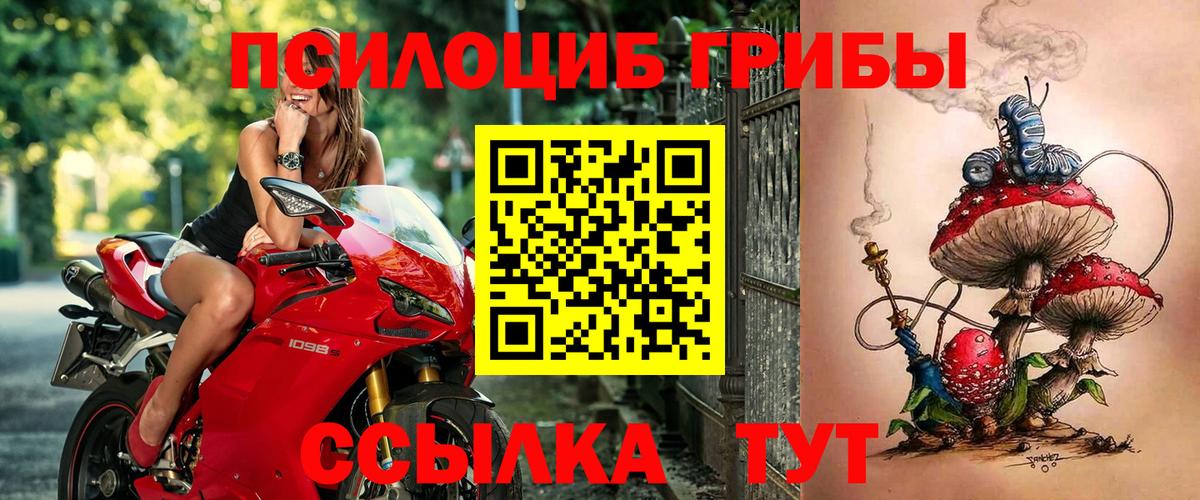 Галлюциногенные грибы GOLDEN TEACHER  Псилоцибиновые грибы ЛСД  Петрозаводск  Вход с VPN 