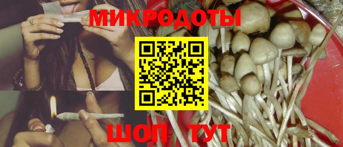 Галлюциногенные грибы Magic Shrooms Петрозаводск